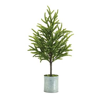 Melrose Set of 2 Potted Mini Tree Table Decor