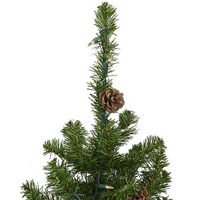 Northlight 3-ft. Pre-Lit Artificial Canadian Pine Christmas Tree with Pine Cones