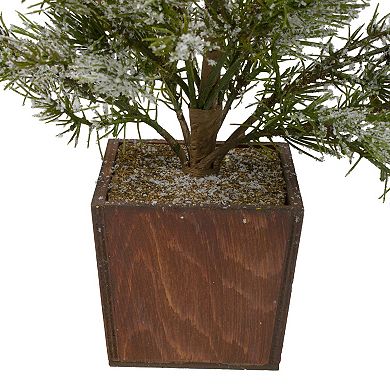 Northlight 28-in. Potted Artificial Frosted Pine Christmas Tree Floor Decor