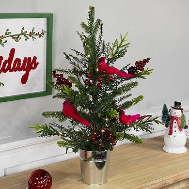 Northlight Pre-Lit LED 2-ft. Mixed Pine Artificial Potted Christmas Tree with Berries & Cardinals