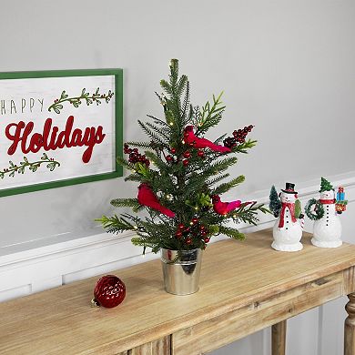 Northlight Pre-Lit LED 2-ft. Mixed Pine Artificial Potted Christmas Tree with Berries & Cardinals