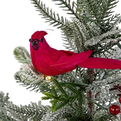 Northlight Pre-Lit LED 2-ft. Frosted Mixed Pine Artificial Potted Christmas Tree