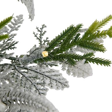 Northlight Pre-Lit LED 2-ft. Frosted Mixed Pine Artificial Potted Christmas Tree