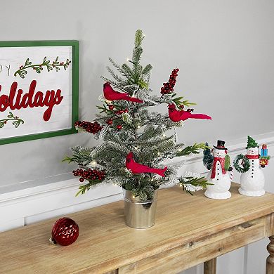 Northlight Pre-Lit LED 2-ft. Frosted Mixed Pine Artificial Potted Christmas Tree