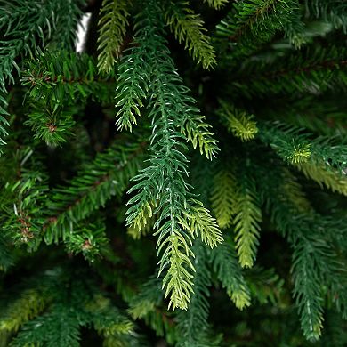 Northlight 7.5-ft. Real Touch™️ River Deer Pine Artificial Christmas Tree