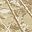 Pine Bark
