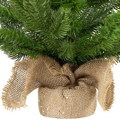 Northlight 24-in. Real Touch™️ Potted Artificial Sarasota Pine Christmas Tree