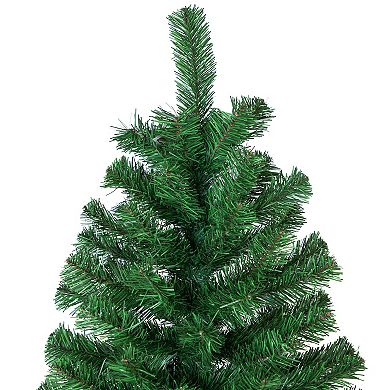 Northlight 10-ft. Medium Artificial Colorado Pine Christmas Tree Unlit