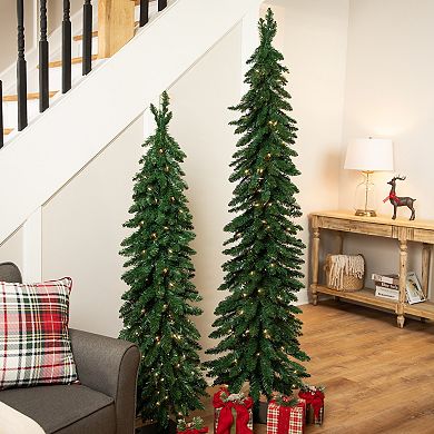 Northlight 6-ft. Pre-Lit Pencil Artificial Christmas Tree with Clear Lights