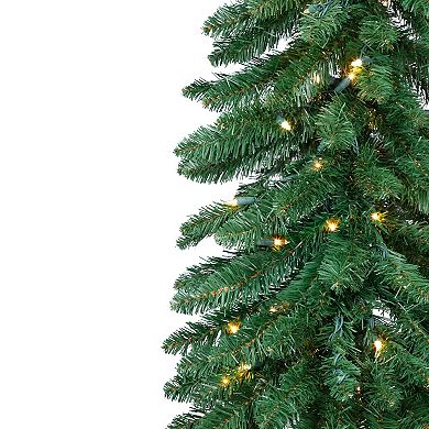 Northlight 6-ft. Pre-Lit Pencil Artificial Christmas Tree with Clear Lights