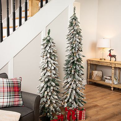 Northlight 6-ft. Pre-Lit Flocked Alpine Artificial Christmas Tree with Clear Lights