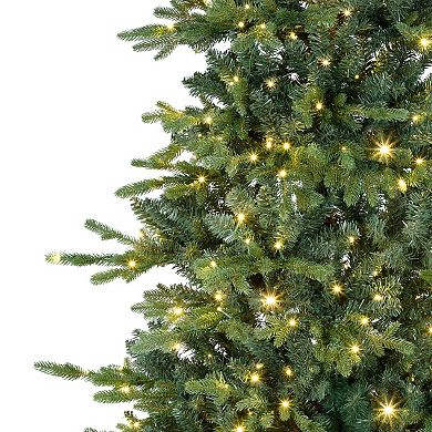 Northlight 6-ft. Real Touch™ Elite Pre-Lit Artificial Breckenridge Pine Christmas Tree