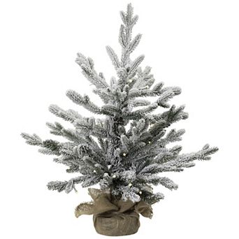 Northlight 2-ft. Real Touch™ Pre-Lit Artificial Tamarack Pine Christmas Tree