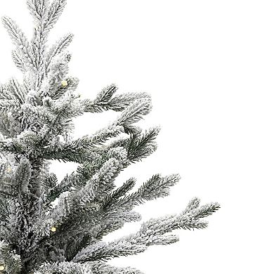Northlight 2-ft. Real Touch™ Pre-Lit Artificial Tamarack Pine Christmas Tree