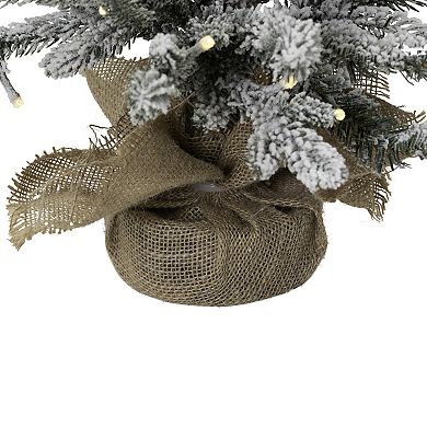 Northlight 2-ft. Real Touch™ Pre-Lit Artificial Tamarack Pine Christmas Tree