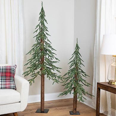Northlight 4-ft. Clear LED Alpine Artificial Christmas Tree