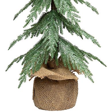Northlight 24-Inch Mini Icy Pine Artificial Christmas Tree in Burlap Base