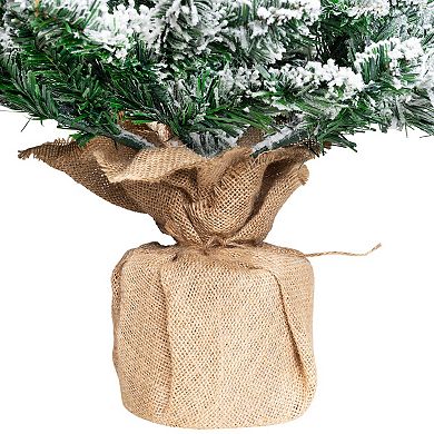 Northlight 3-ft. Frosted Pine Artificial Christmas Tree in Burlap Base