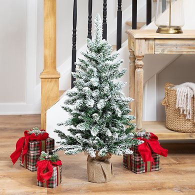 Northlight 3-ft. Frosted Pine Artificial Christmas Tree in Burlap Base