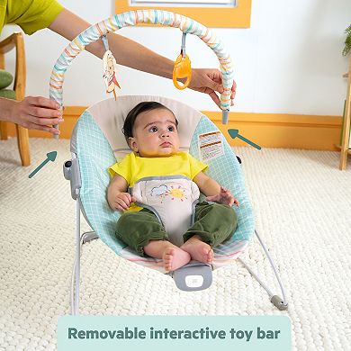 Bright Starts Winnie the Pooh Vibrating Baby Bouncer