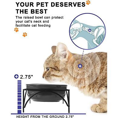 12 Ounces Cat Food Bowls, Raised Pet Food Water Bowls with Stand
