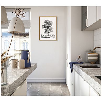 Sylvie Jean Victor Bertin Study of a Tree 1816 Framed Canvas by The Art Institute of Chicago