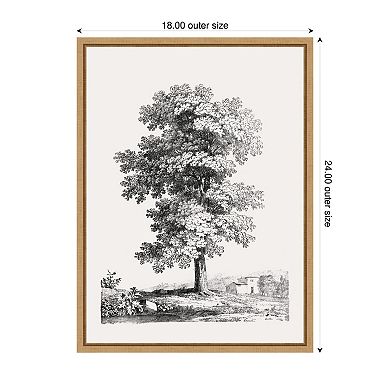 Sylvie Jean Victor Bertin Study of a Tree 1816 Framed Canvas by The Art Institute of Chicago