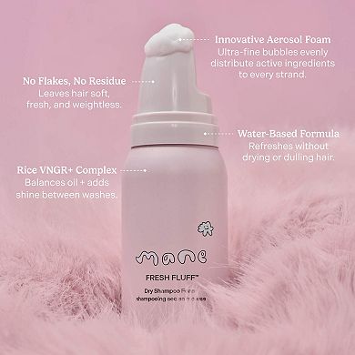 Fresh Fluff Dry Shampoo Foam