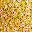 Yellow Flower