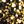 Gold Black