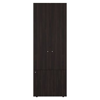 Home 3 Door Closet System with Hanging Rod for clothes and interior Shelves.