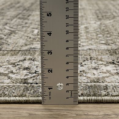 StyleHaven Chadwick Traditional Faded Center Medallion Area Rug