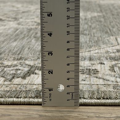 StyleHaven Chadwick Traditional Center Medallion Area Rug