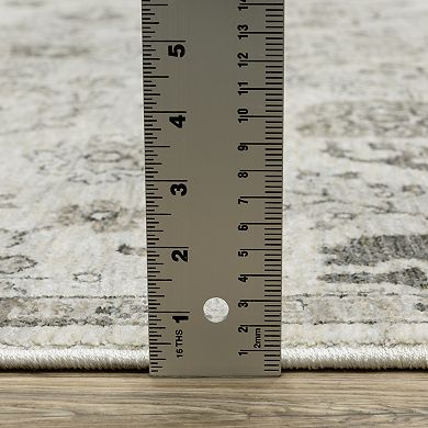 StyleHaven Vintage Floral Persian Area Rug