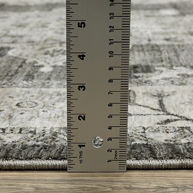 StyleHaven Chadwick Traditional Opulent Medallion Area Rug