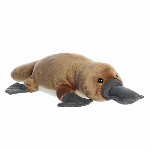 Детские мягкие игрушки Aurora Adorable 15.5" Bindi Platypus Flopsie Large Brown Stuffed Animal