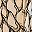 Ivory Khaki