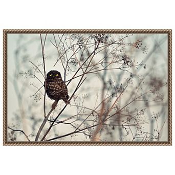 Look at Me by Emilian Avramescu Framed Canvas Wall Art Print