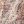 Beige Printed