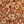 Brown Multicolor