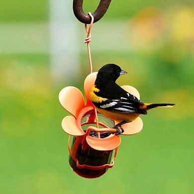 Songbird Essentials Jelly Jam Fliteline Oriole Feeder