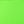 White Fluorescentgreen