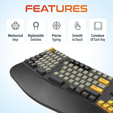 Delton KB450 Wireless Ergonomic Mechanical Keyboard