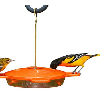 Aspects Oriole Hanging Bird Feeder - 16 Ounce