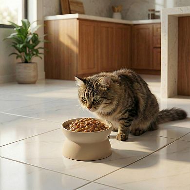 Kitty City Elevated Cat Bowl