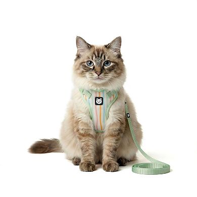 Kitty City Striped Harness & Leash 2-Piece Set