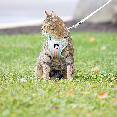 Kitty City Striped Harness & Leash 2-Piece Set