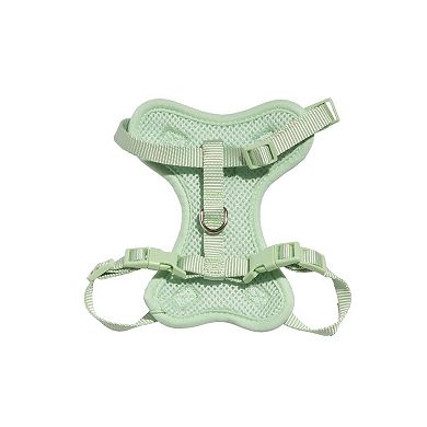 Kitty City Striped Harness & Leash 2-Piece Set