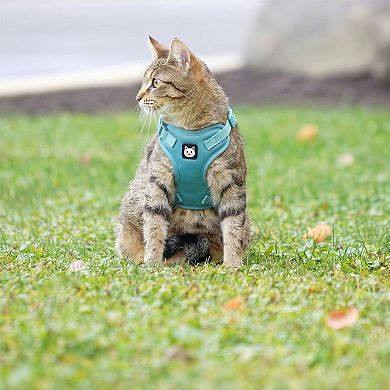 Kitty City Solid Adjustable Harness