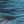 Blue Roes Red